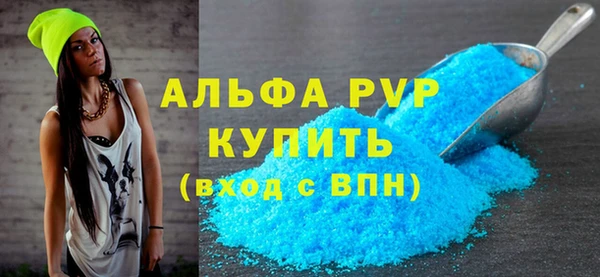 ГАЛЛЮЦИНОГЕННЫЕ ГРИБЫ Белокуриха